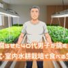 豆苗をも腐らせた40代男子が挑む！ズボラ式・室内水耕栽培で食べる生活はじめました