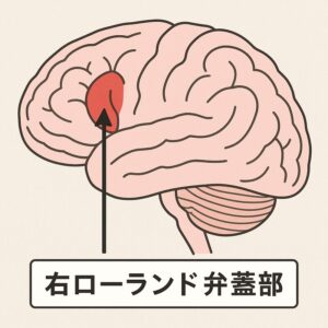 図説：右ローランド弁蓋部